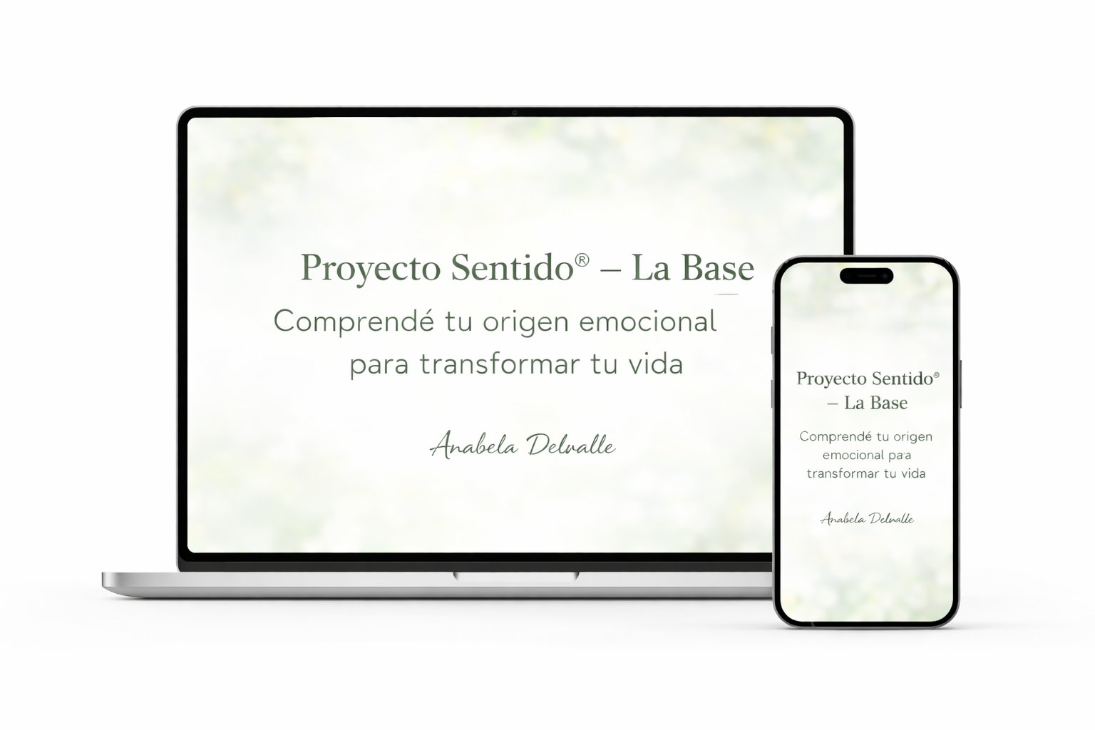 Proyecto Sentido® – La Base